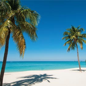 Run Cayman Islands beach scene